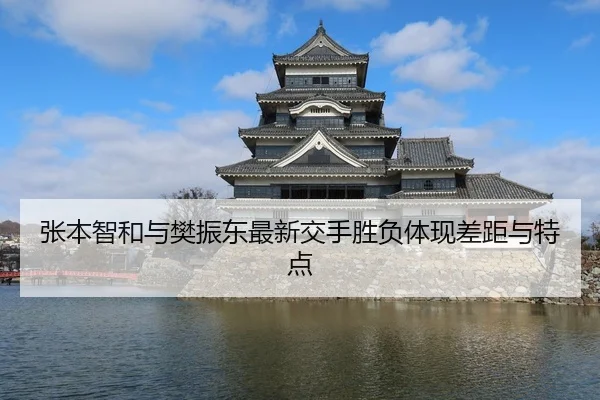 张本智和与樊振东最新交手胜负体现差距与特点